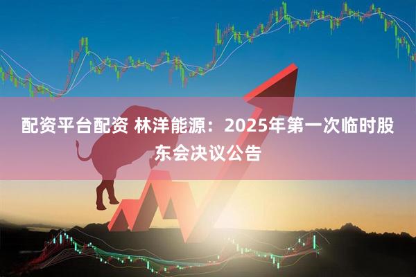 配资平台配资 林洋能源：2025年第一次临时股东会决议公告
